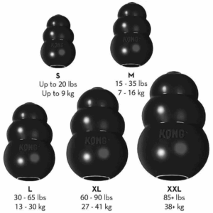 KONG Extreme