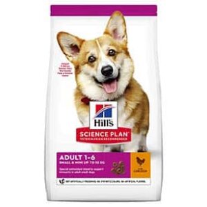 הילס סיינס פלאן בוגר גזע קטן עוף
