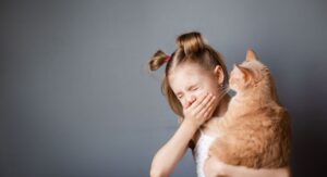 אלרגיה לחתולים