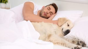 לישון עם הכלב